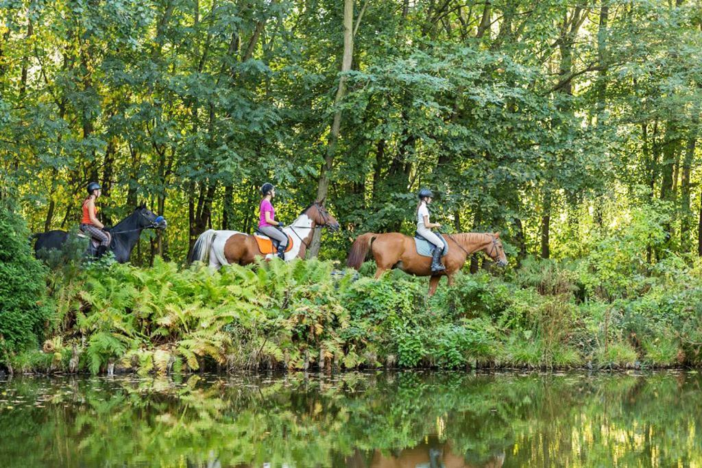 Rancho Slezanski Mlyn Szczepanow  Екстер'єр фото