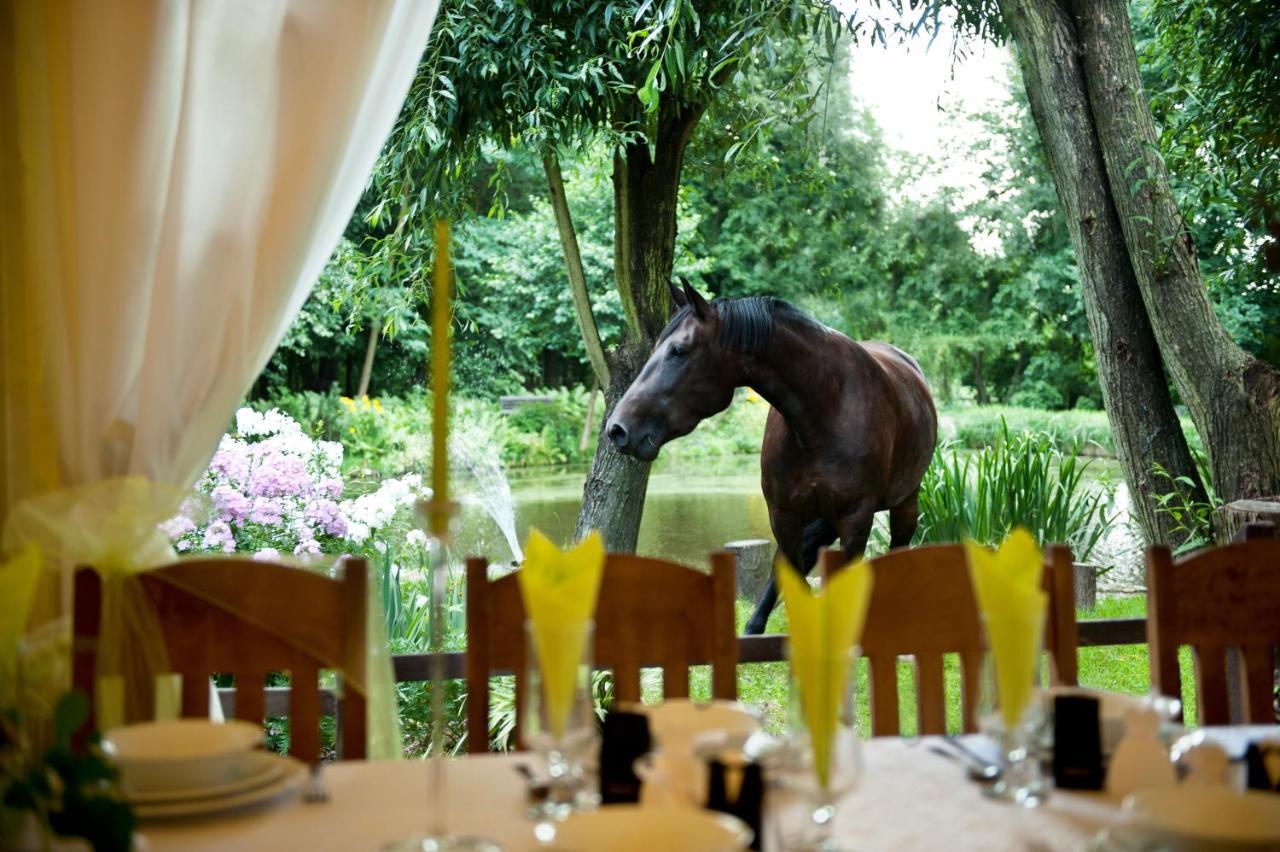 Rancho Slezanski Mlyn Szczepanow  Екстер'єр фото